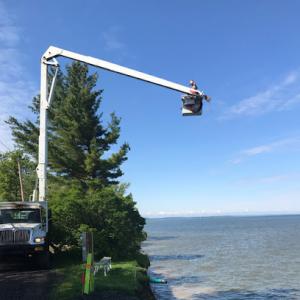 Dan Lennox Tree Service