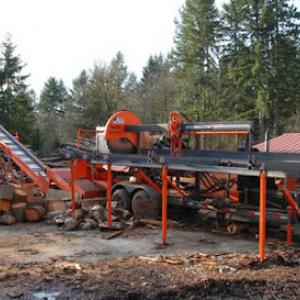 P'n'D Logging & Tree Service