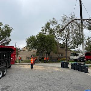 Gomez Landscape & Tree Care