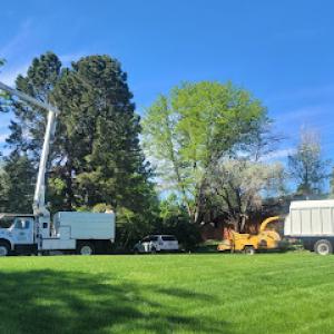 Canales Tree Service