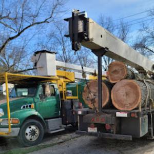 Piece It Out Tree Service