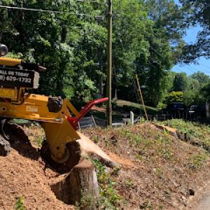 Ronito's Tree Service