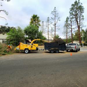 Leonel Santiago Tree Trimming & Landscape