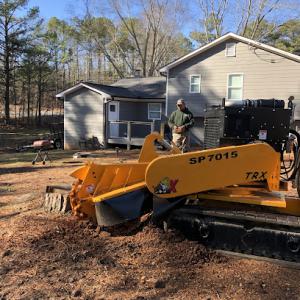 Antonio's Tree Experts