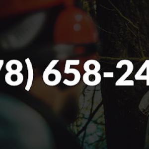 All In Tree Service of Mableton