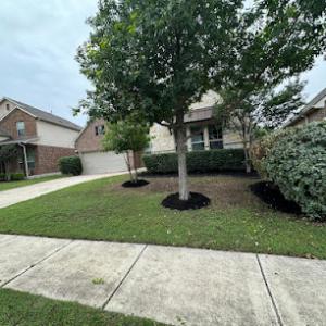 Rumaldo’s Tree Service & Landscaping