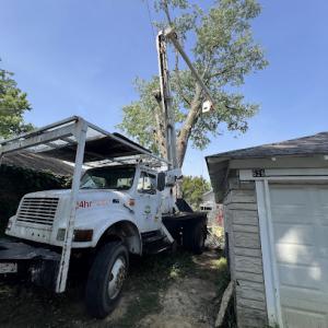 Moore's Tree Service & Landscaping