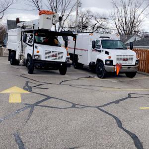 Danny’s Tree Service