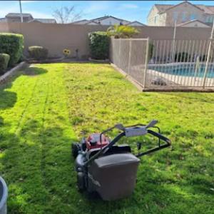 CV Landscaping Services