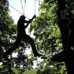 Goodyear Tree Service