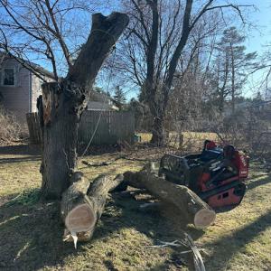 PD Property Enhancements