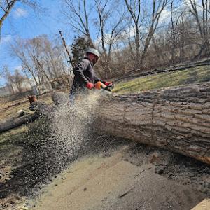 Polecats Tree Service