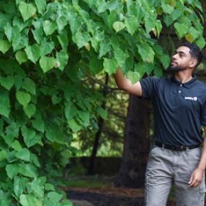 The Davey Tree Expert Company