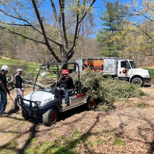 Long Reach Tree Service