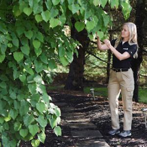 The Davey Tree Expert Company