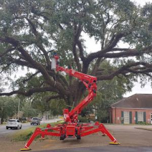 GrowGreen Tree Service