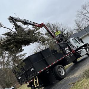 Courtney & Hawkins Tree Service