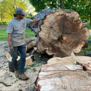 Richland Tree Service