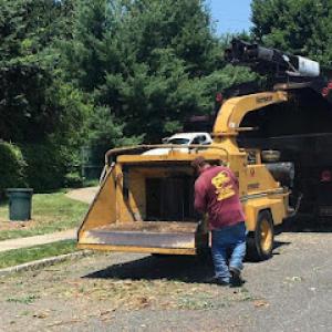 Scottie’s Tree Service
