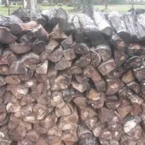 Got Wood? Tree Service