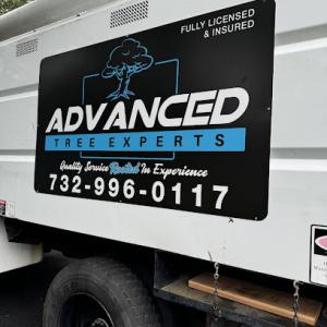 Advanced Tree Experts