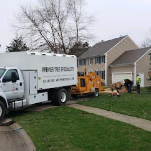 Premier Tree Specialists