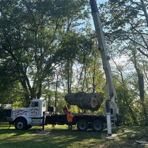 Cleveland Tree Service