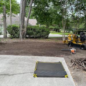 Broad River Stump Grinding