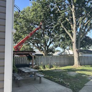 New Heights Tree Services