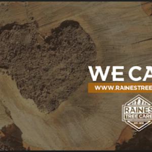 Raines Tree Care