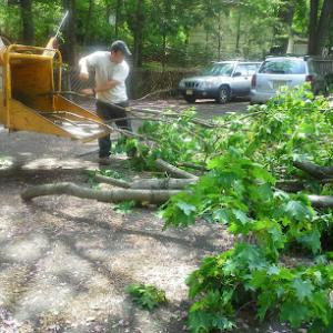 Navarro Tree Services