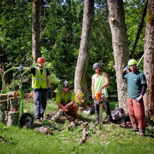 Blue Ribbon Tree & Landscape Specialists