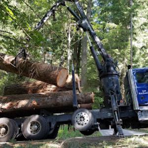 Ascending Tree Service