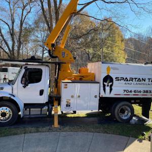 Spartan Tree & Landscape