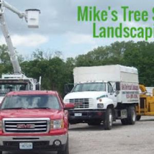 Mikes Tree Service & Landscaping