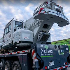 Nelson Tree Specialist