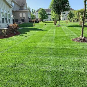 Superior Landscaping & Tree Services