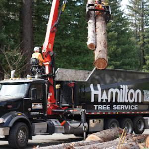 Hamilton Tree Service