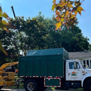 Heaven to Earth Tree Service Landscaping