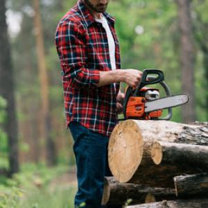 Tree Service San Francisco
