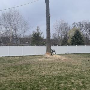 J.M. Tree Service & Landscape