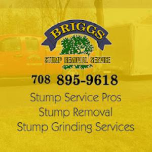 Briggs Stump Removal Stump Services Pros