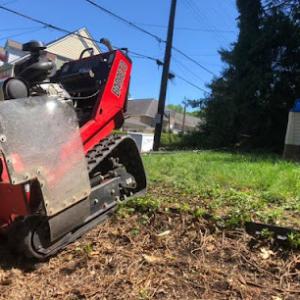 Vislosky Stump Grinding