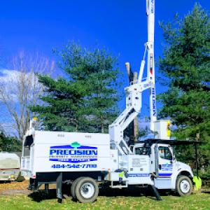 Precision Tree Experts