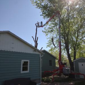 Cully's Tree Service