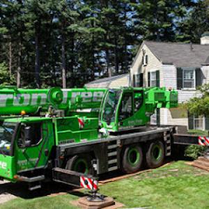 Iron Tree Service
