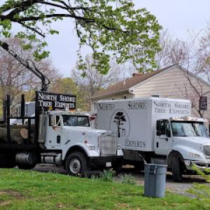 North Shore Tree Experts