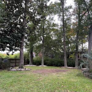 Asgard Ethical tree service