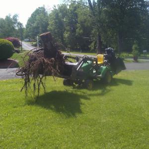 Timberland Tree Service