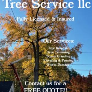 Frattaroli Tree Service